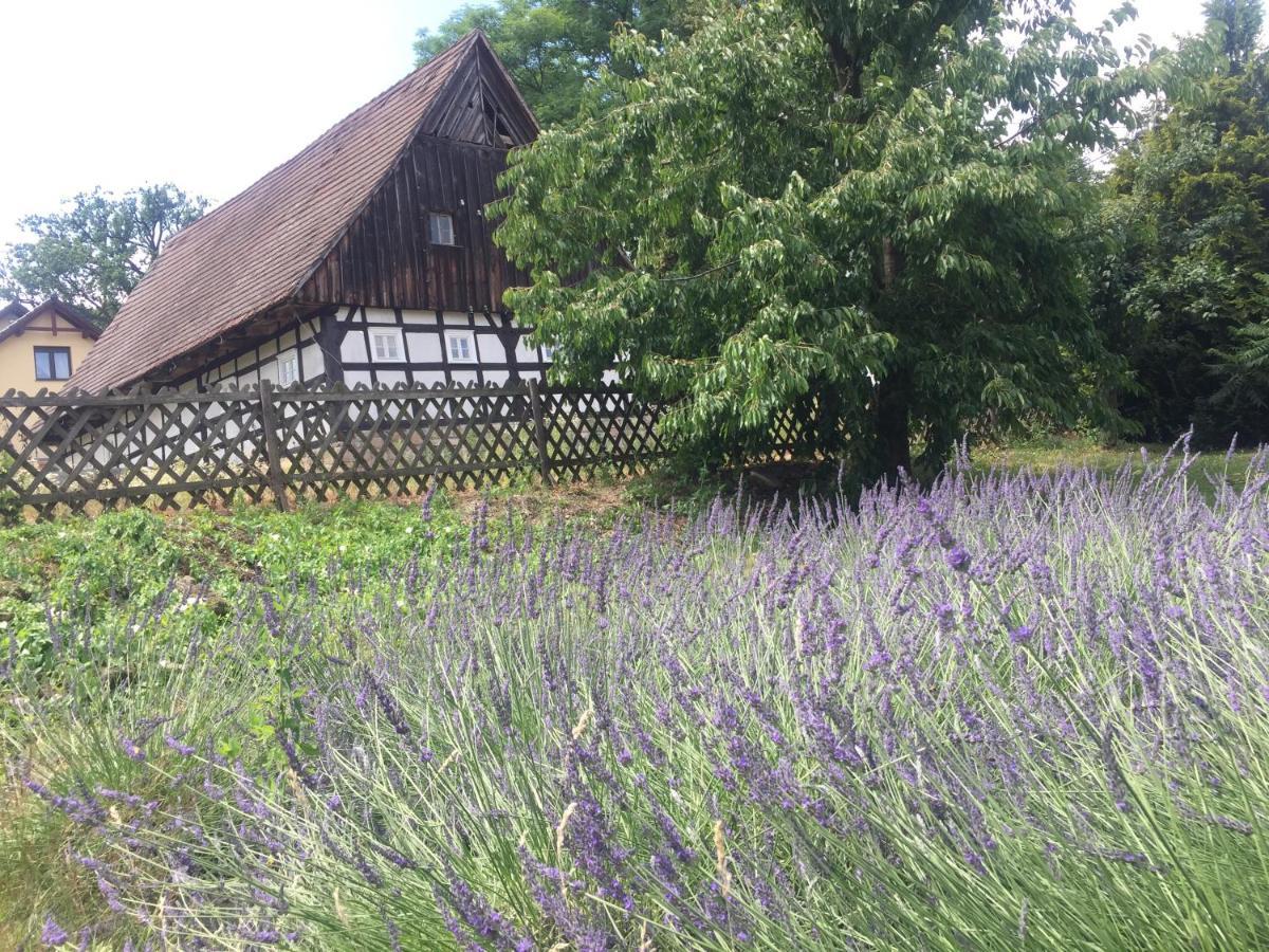 Bed and Breakfast Stara Szkola Debowy Gaj The Old School Debowy Gaj Lwowek Slaski Esterno foto